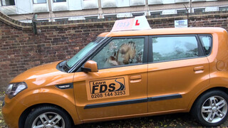Fake Driving School cuki japán kisasszony szexelni akar